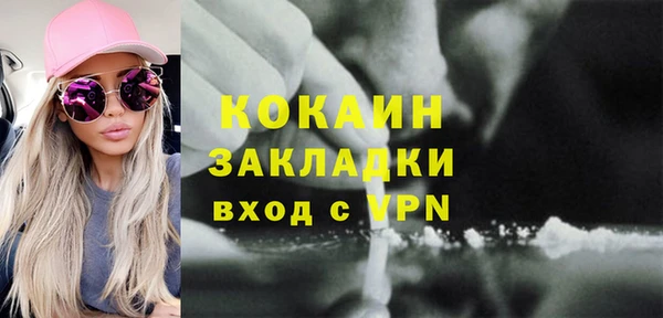 гидра Михайловка