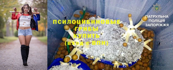 гидра Михайловка