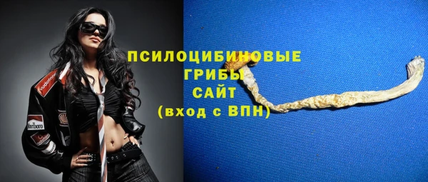 эйфоретик Михайлов