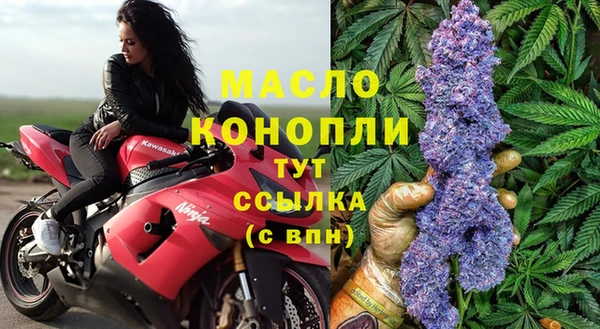 гидра Михайловка