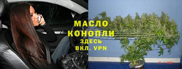 гидра Михайловка
