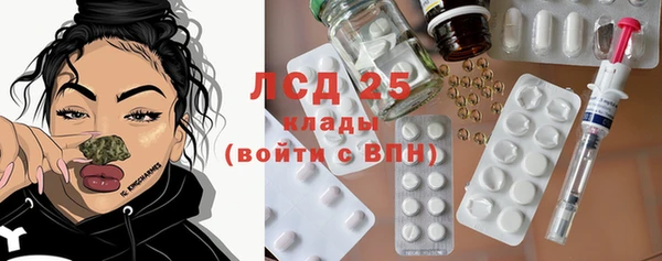 гидра Михайловка